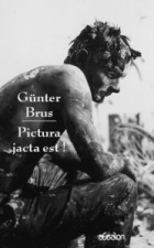 Pictura Jacta est !