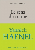 « Le sens du calme » de Yannick Haenel